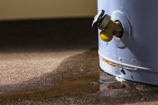 Best Water damage restoration experts  in Huntsville, TN