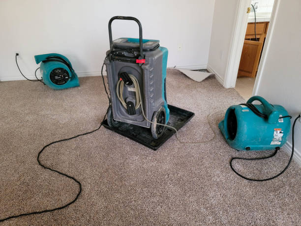 Best Water damage restoration near me  in Huntsville, TN