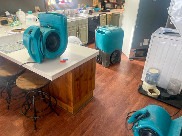 Best Water damage contractors near me  in Huntsville, TN