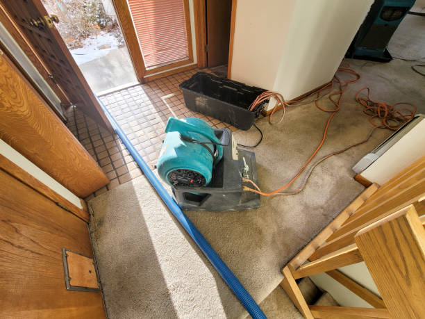 Best Sewage cleanup and water damage restoration  in Huntsville, TN