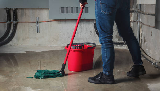 Best Fire Damage Restoration  in Huntsville, TN