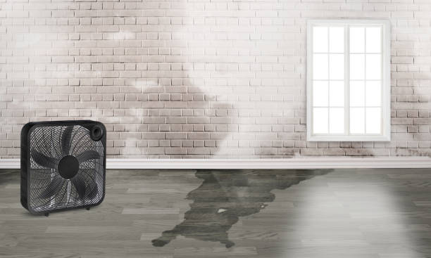 Best 24/7 water damage repair  in Huntsville, TN
