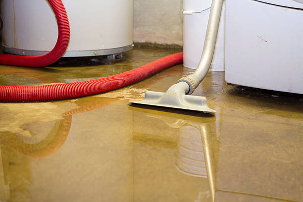 Best 24-hour water damage restoration  in Huntsville, TN