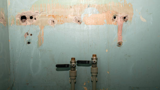Best Flood damage cleanup  in Huntsville, TN