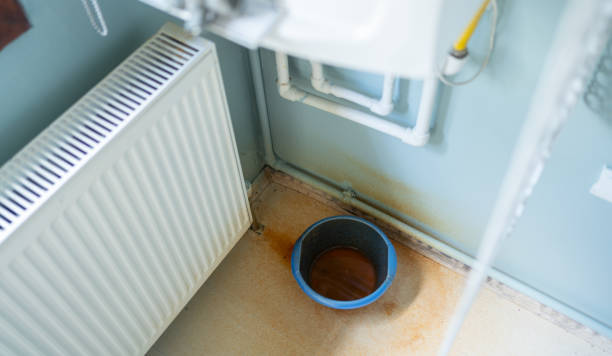 Best Mold removal after water damage  in Huntsville, TN