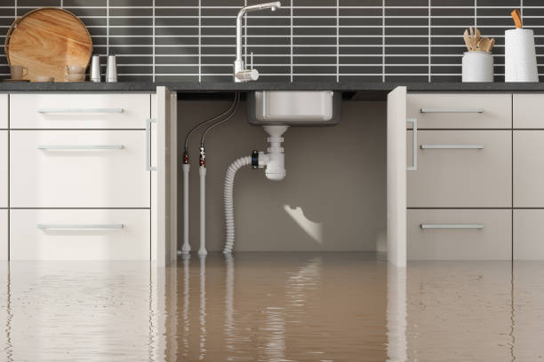 Best Emergency water damage restoration  in Huntsville, TN