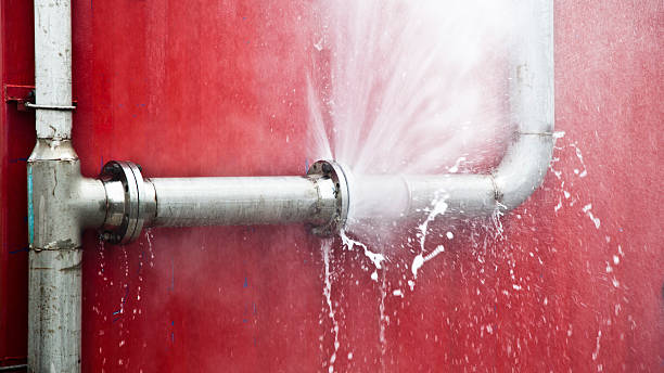 Best Ceiling water damage repair  in Huntsville, TN