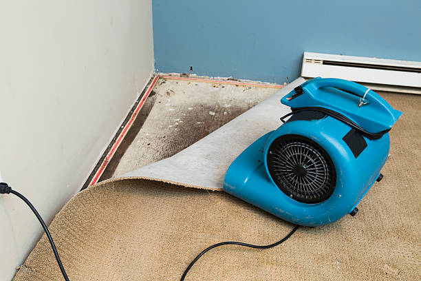 Best Basement water damage restoration  in Huntsville, TN